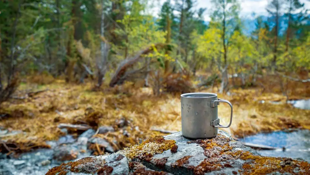 Opt for a Nature Trip