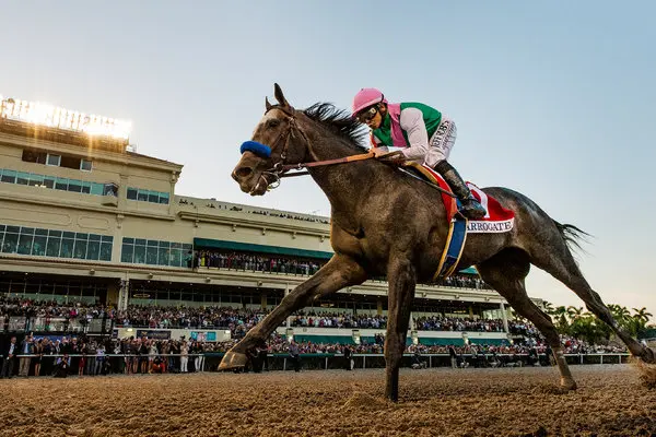 Specialised Training Techniques for Different Racing Styles