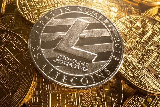 Litecoin is a volatile coin