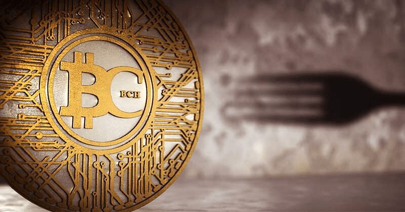 BCH is a volatile coin