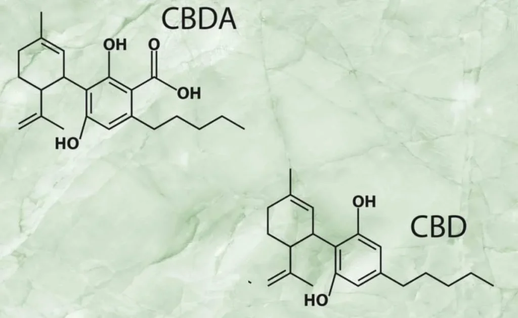 CBD vs CBDA