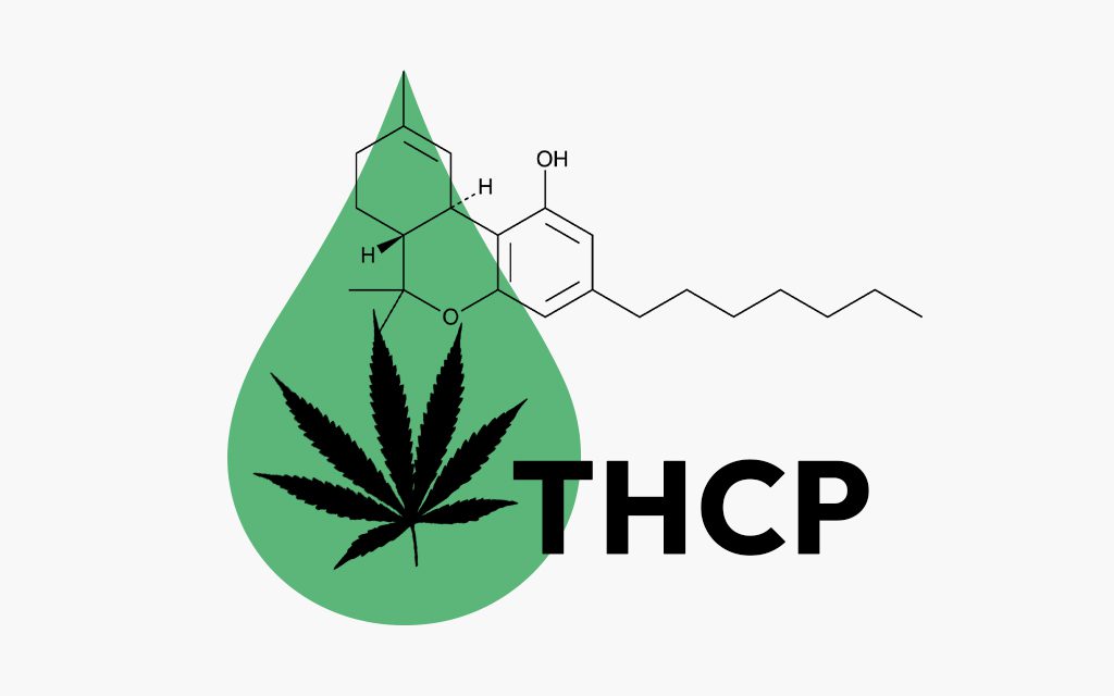 What is THCP?
