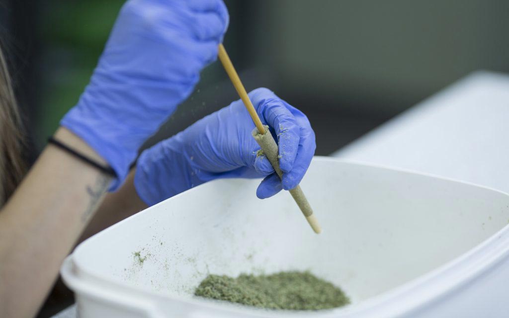 The Potential Side Effects of THCO