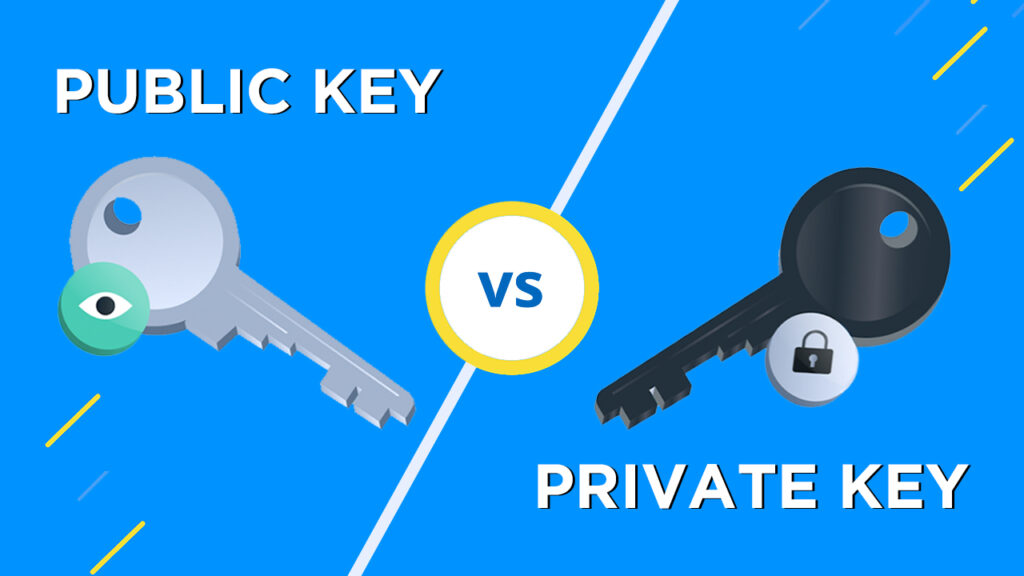 Public or Private - Which One to Choose: