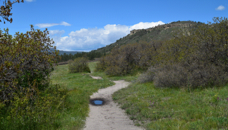Dawson Butte Ranch Open Space and Trail