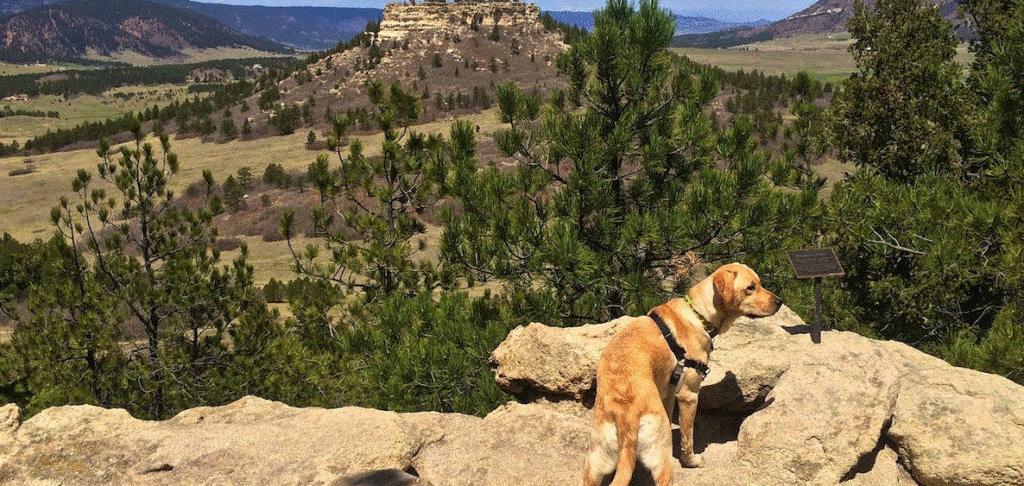 Spruce Mountain Open Space