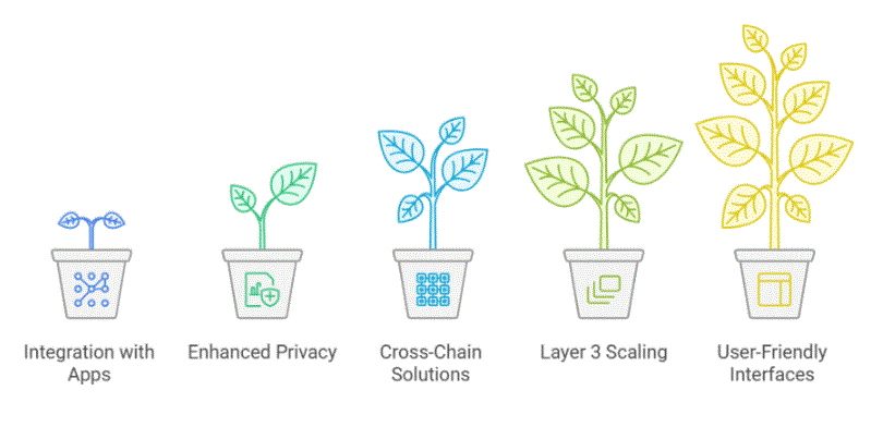 Scaling Web3 Through the Power of ZK-Rollups