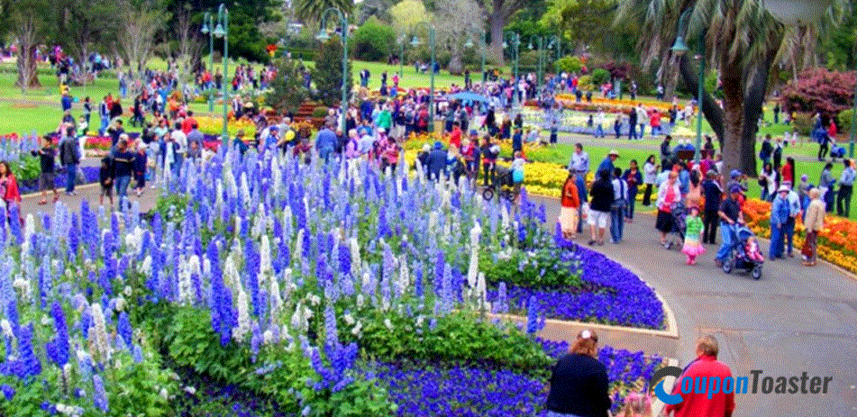 Best Routes for Seniors