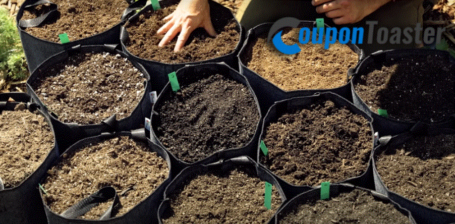Different Types of Potting Soil