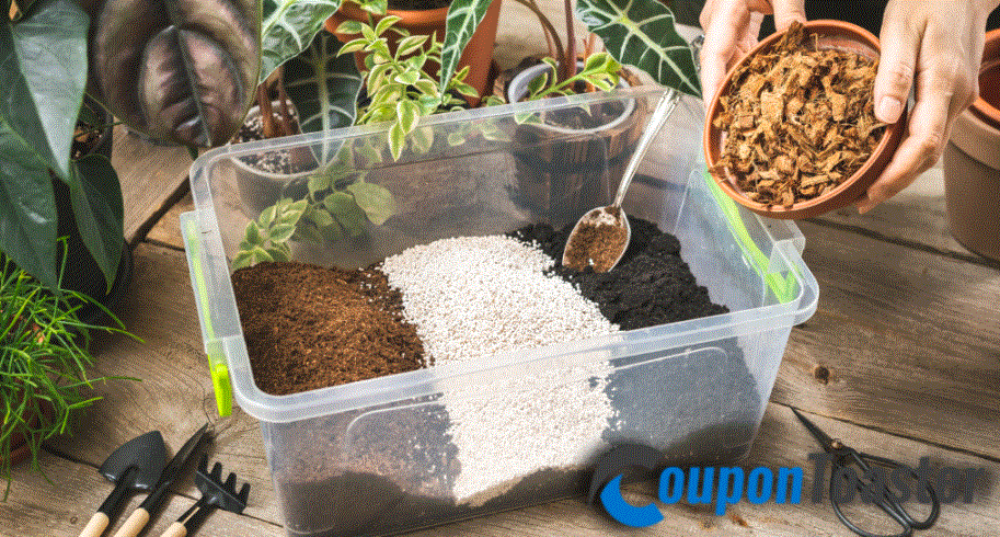 Organic vs. Non-Organic Potting Soil