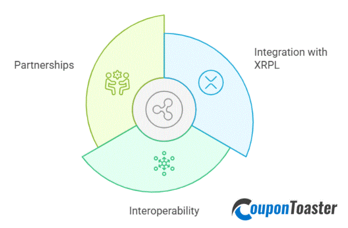 Ripple's Approach to NFTs