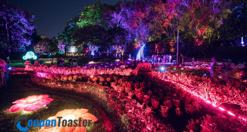 Seasonal Highlights Throughout the Year