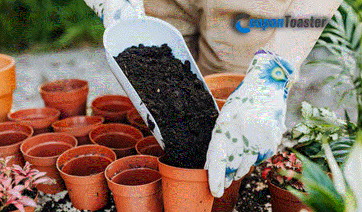 The Importance of Potting Soil