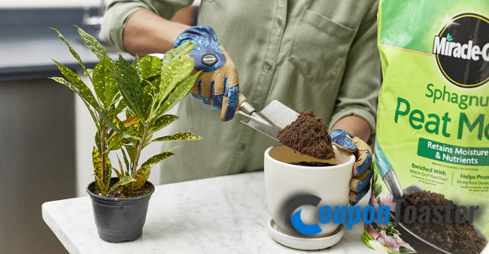 The Role of Compost in Potting Soil