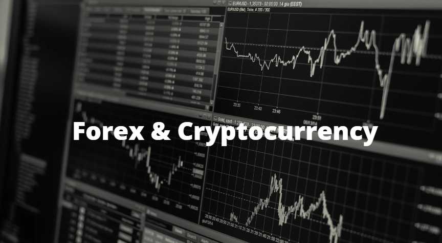 Exploring Trading Insights from the Correlation Between Forex and Cryptocurrency