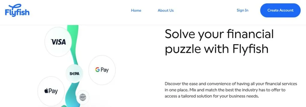 Flyfish Reviews – Make Use of Financial Management Tools for your Enterprise