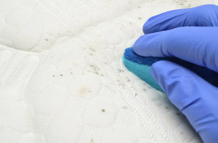 Kratom Powder Stain Removal Techniques for Silk Bedding