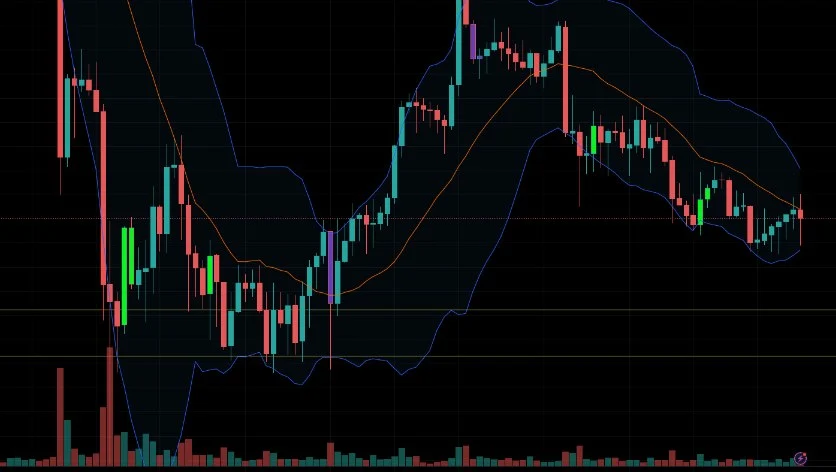 The Role of Bollinger Bands in Analyzing Market Movements