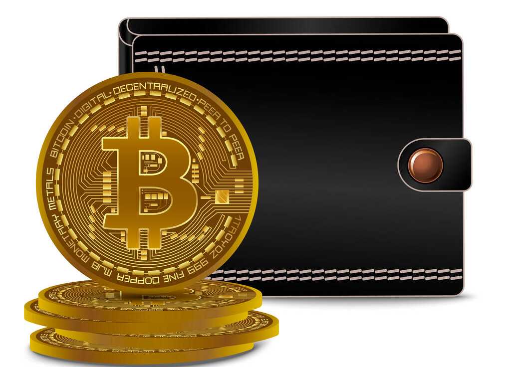 Bitcoin Wallet Guide: How to Secure Your Crypto