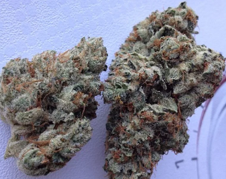 Bubba OG Strain – The Origin, Effects, and More
