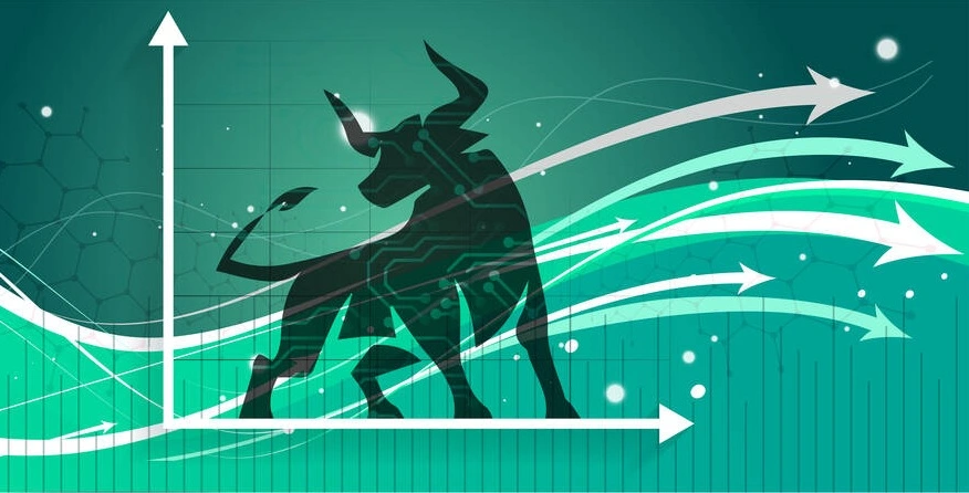 My Top Altcoins For This Bull Run