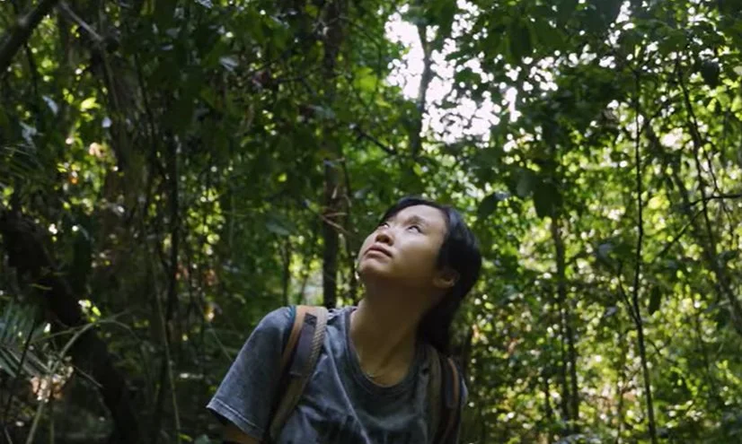 4 Days Osa Jungle Adventure tour: