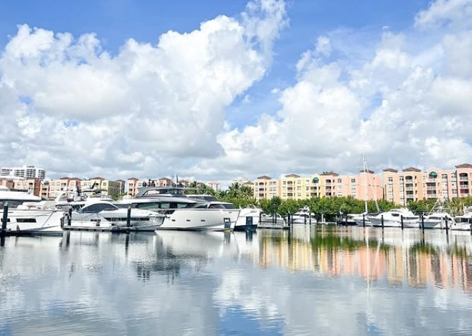 Discover Miami's waterfront - Read This To Have Better Idea