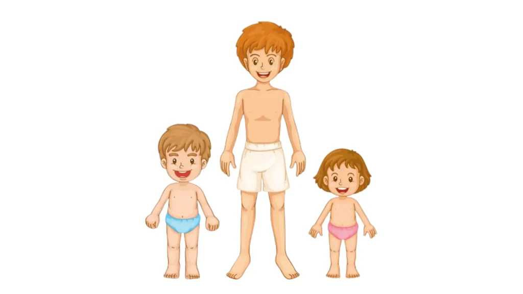 Kids (Boy & Girl) Both Underwear Size Calculator & Chart