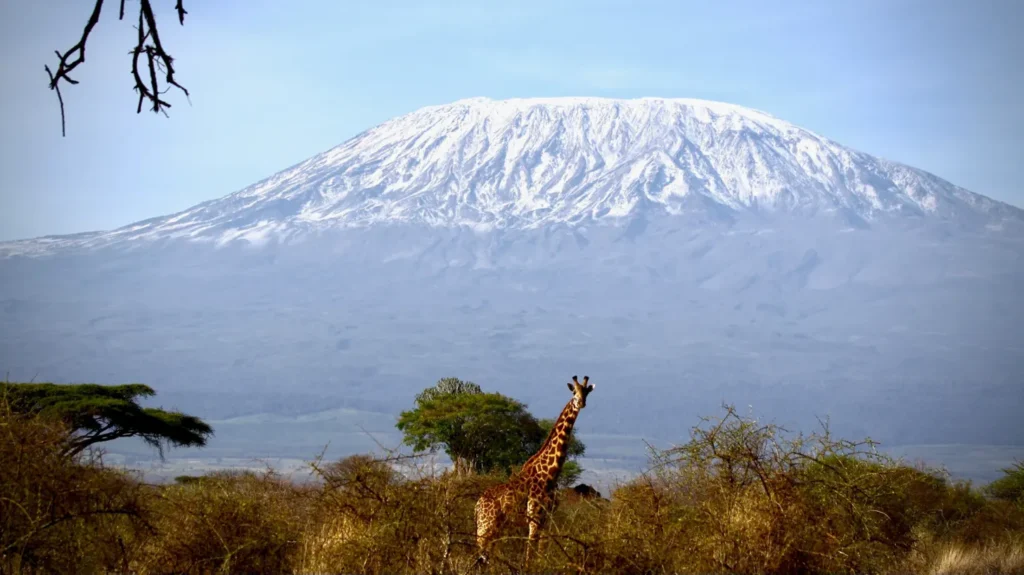 Top 5 Lessons You’ll Learn While Climbing Mount Kilimanjaro