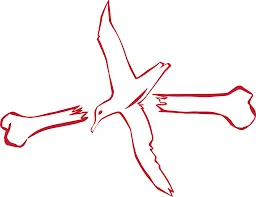 Albatross Designs discount code