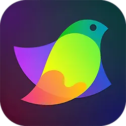 Amadine discount code