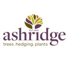 Ashridge Trees discount code