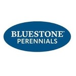 Bluestone Perennials