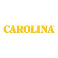 Carolina Footwear
