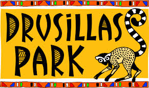 Drusillas Park discount code