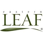 Eastern Leaf
