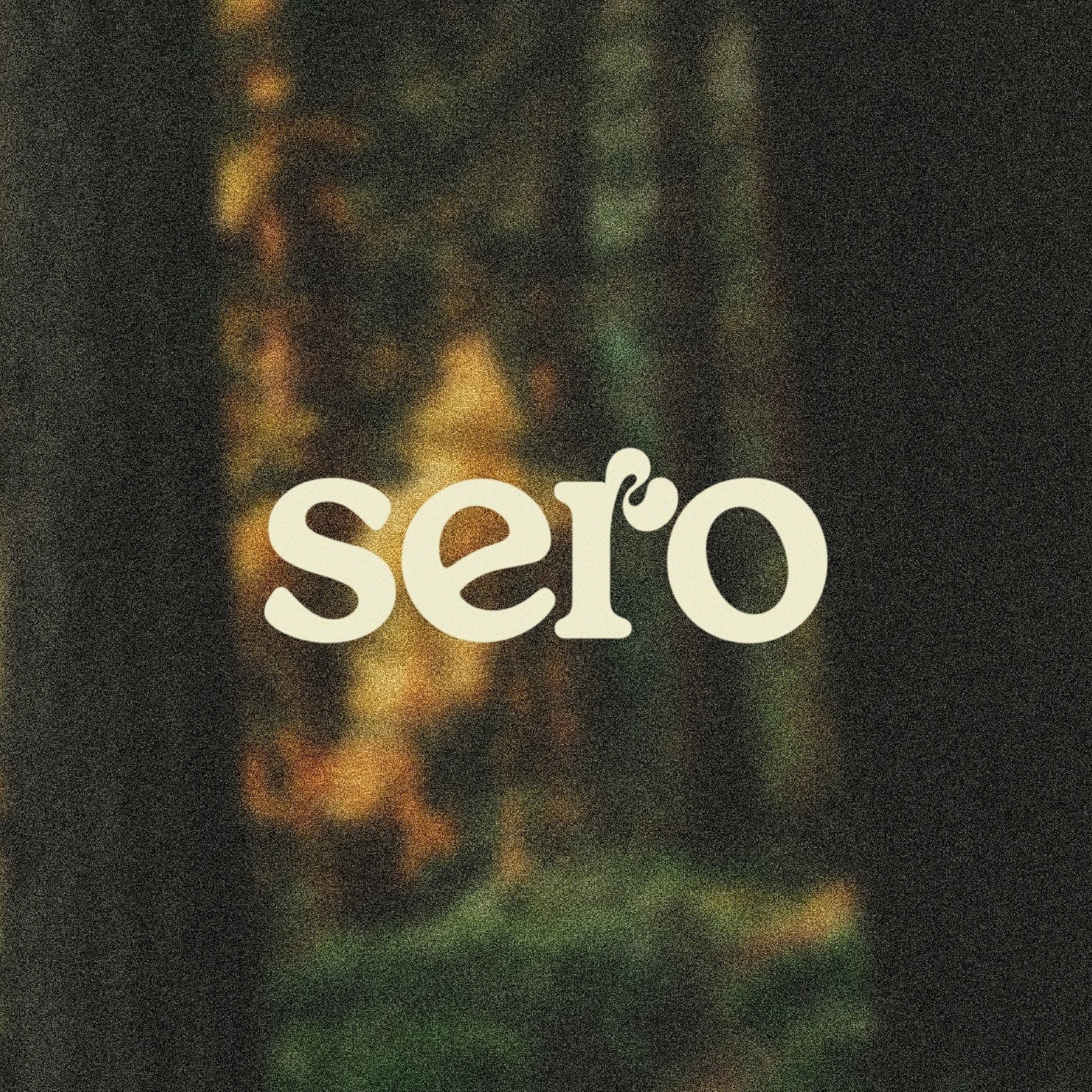 Hey Sero discount code