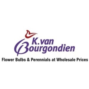 K. Van Bourgondien & Sons, Inc.