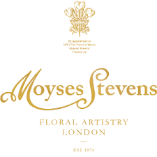 Moyses Stevens discount code