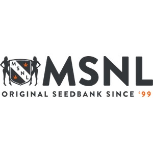 MSNL