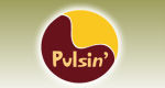 Pulsin discount code