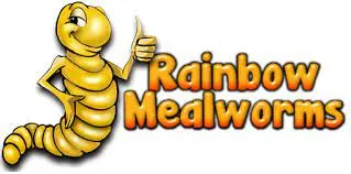 Rainbow Mealworms discount code