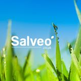 Salveo - Homefair discount code