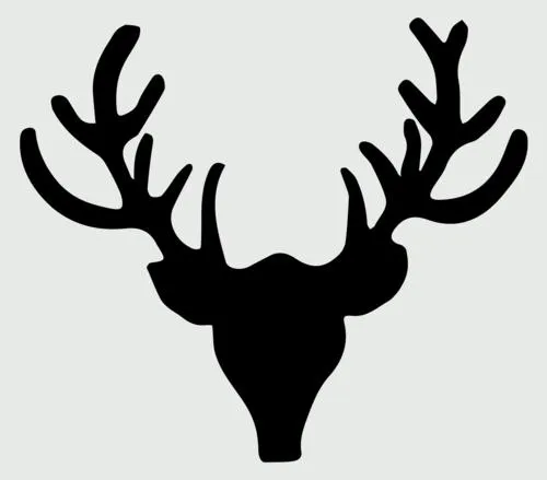 Shop Taxidermy Discount Code